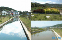 污泥處置突圍路在何方？