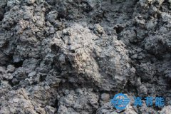 煤泥烘干機(jī)開(kāi)發(fā)廉價(jià)能源新篇章