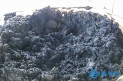 污泥特性不同，干化處理方式也不同