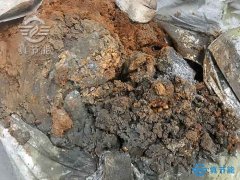 污泥低溫干化機(jī)價格和質(zhì)量的選擇成正比