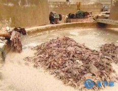 皮革污泥干化機設(shè)備及運行原理介紹