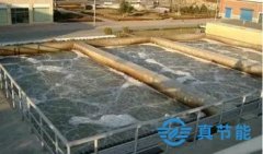 污泥干化設備處理污泥粘結(jié)和臭味控制的方法